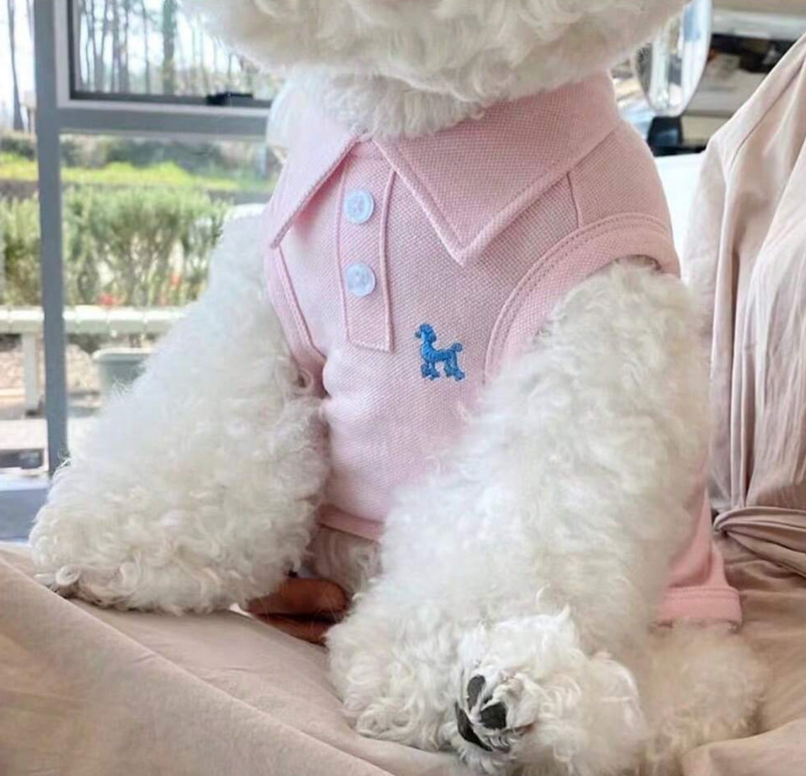 PinkPup Polo